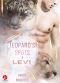 [Leopard's Spots 01] • Levi
